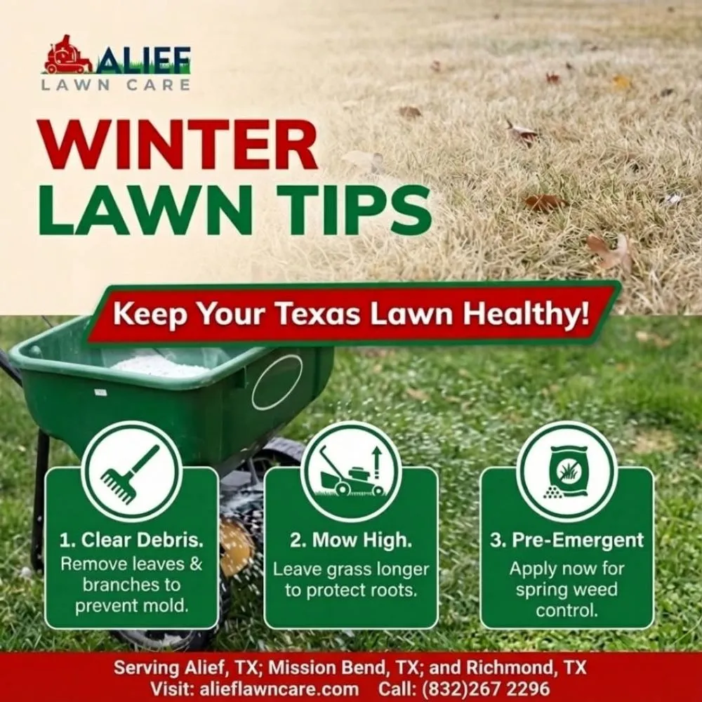 Custom lawn care service with custom design in Houston, TX by Alief Lawn Care