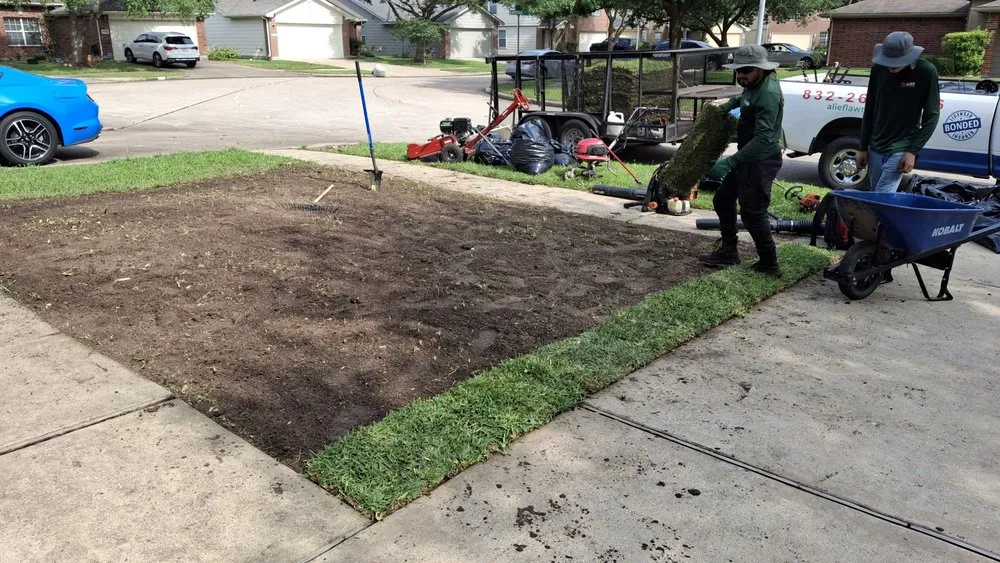 Reliable lawn care service for outdoor upgrades in Houston, TX by Alief Lawn Care