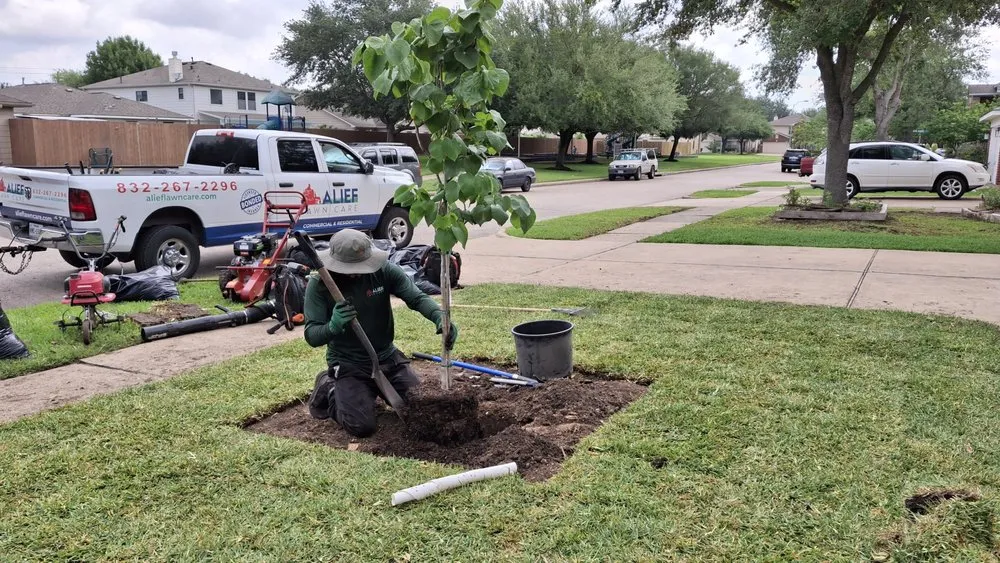 Expert landscaping services in Houston, TX by Alief Lawn Care