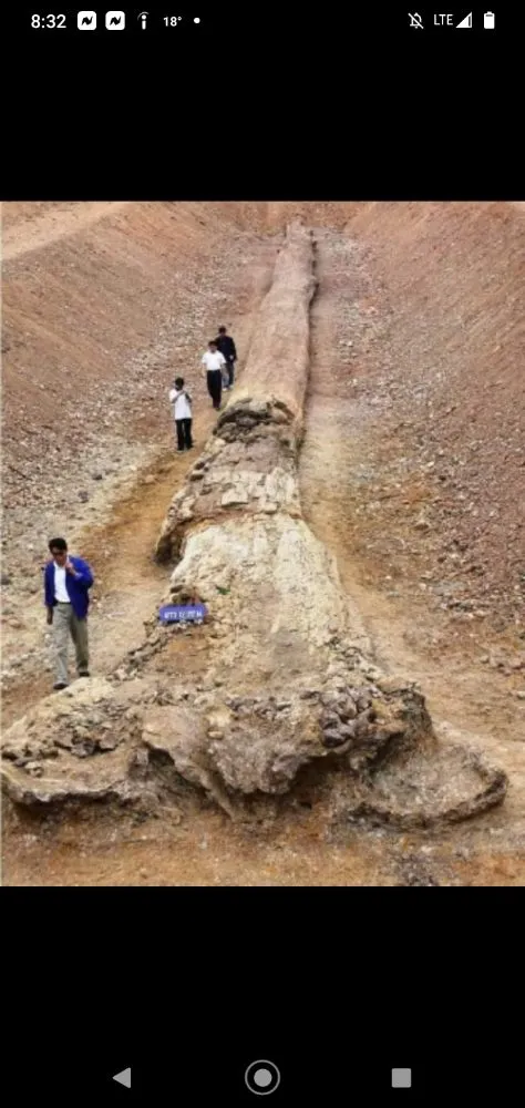 Local yard maintenance for outdoor upgrades across Westland, MI - Alien Auto