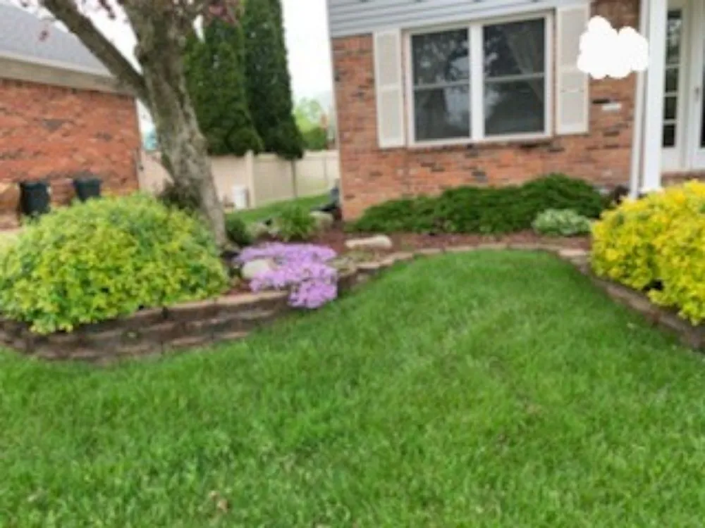 Expert yard maintenance near you in Westland, MI by Alien Auto