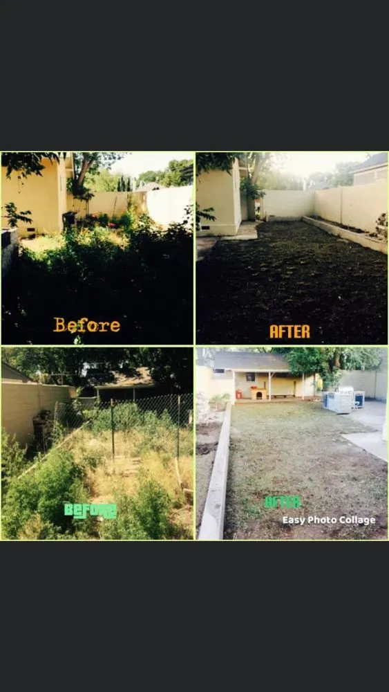 Custom lawn mowing service experts serving Roswell, NM - Alien City Landscaping