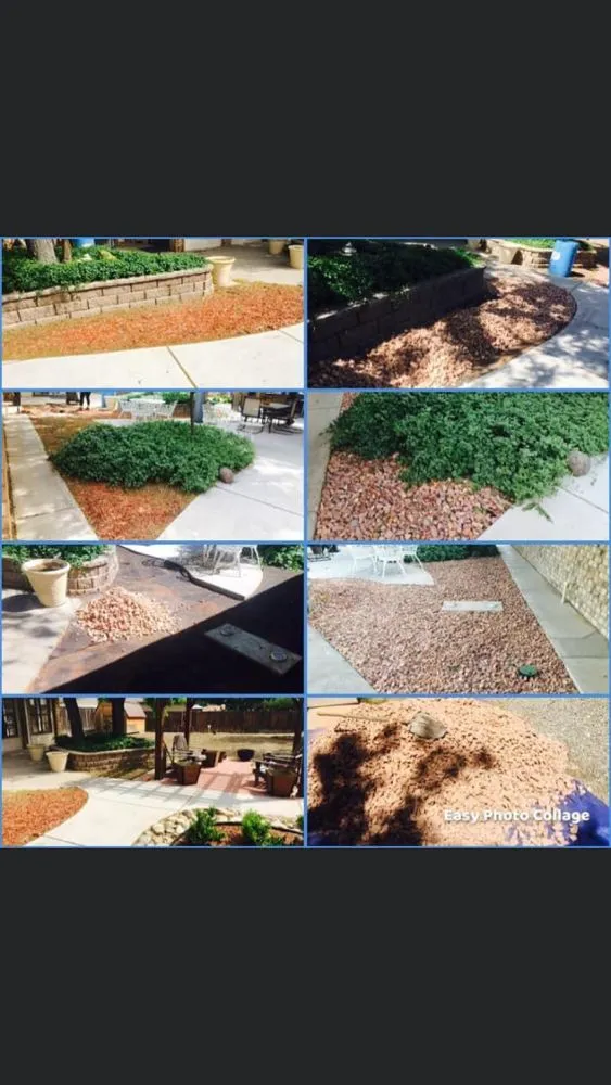 Custom yard cleanup service in Roswell, NM - Alien City Landscaping