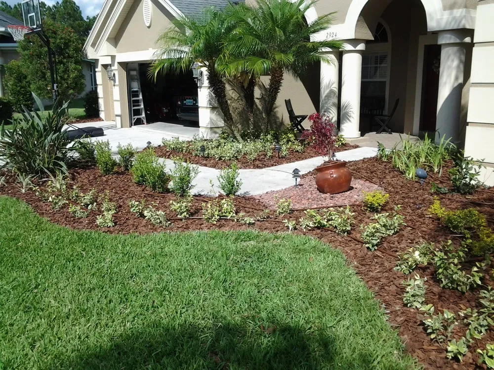Local yard cleanup service in Wesley Chapel, FL - Alien Landscaping