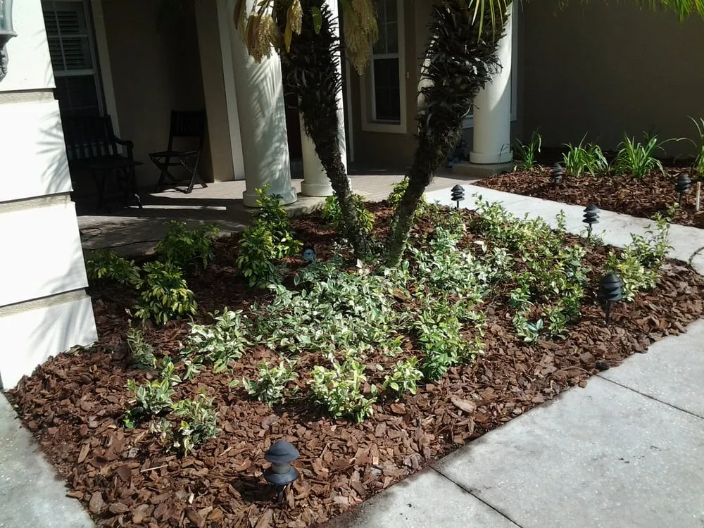 Trusted yard cleanup service in Wesley Chapel, FL by Alien Landscaping