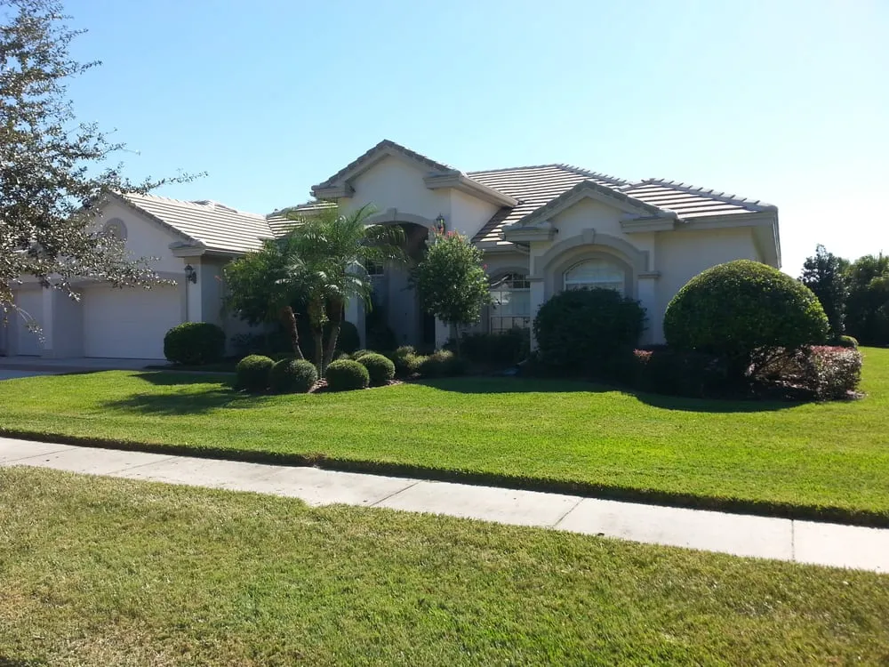 Reliable landscape installation experts serving Wesley Chapel, FL - Alien Landscaping