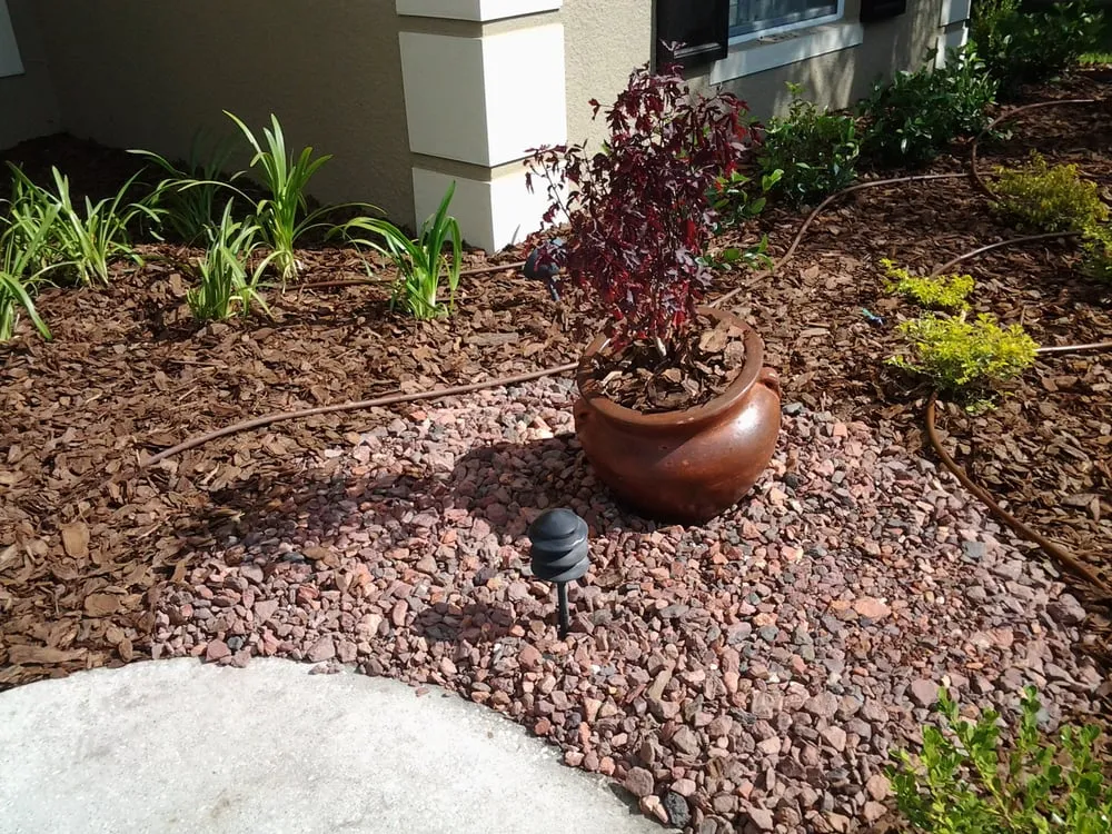 Top-rated landscape installation near you across Wesley Chapel, FL - Alien Landscaping