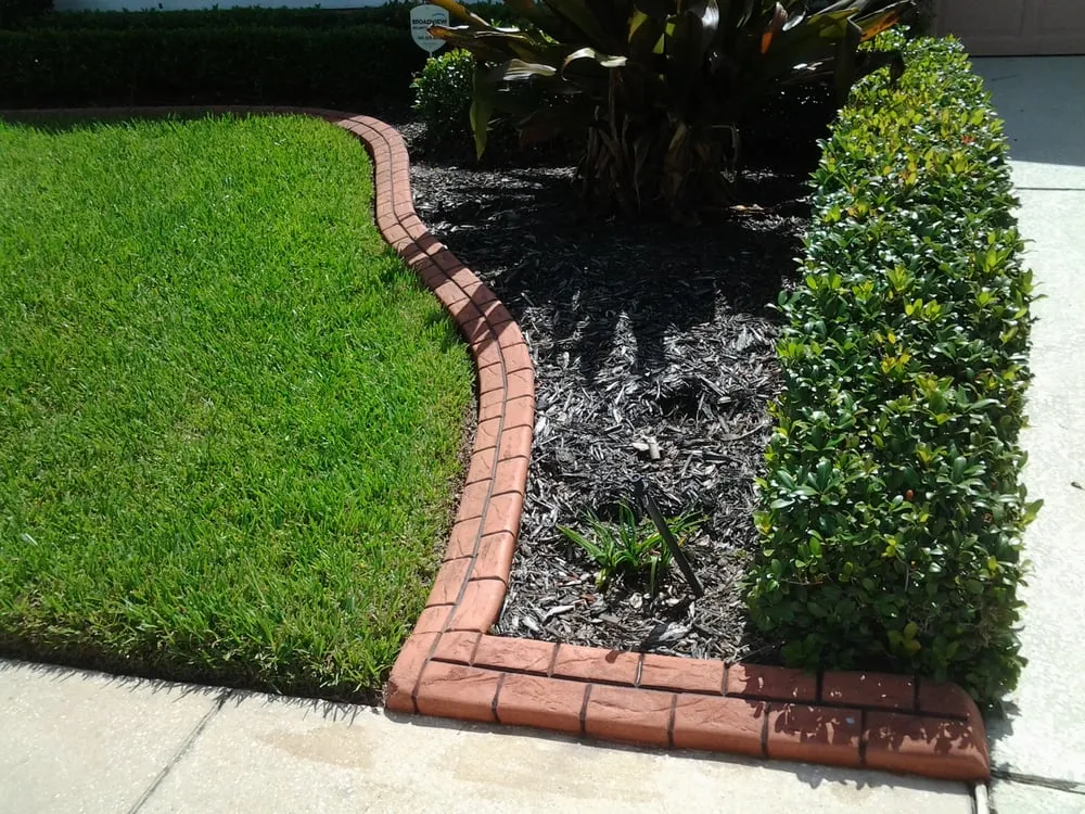 Professional lawn mowing service in Wesley Chapel, FL - Alien Landscaping