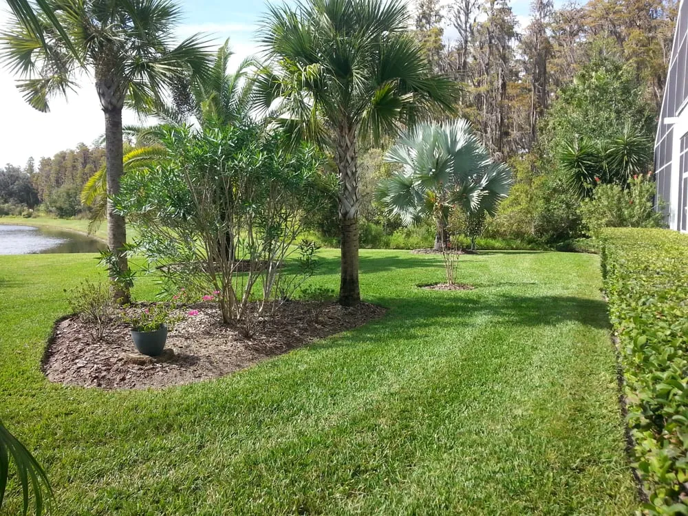 Trusted lawn care service in Wesley Chapel, FL - Alien Landscaping