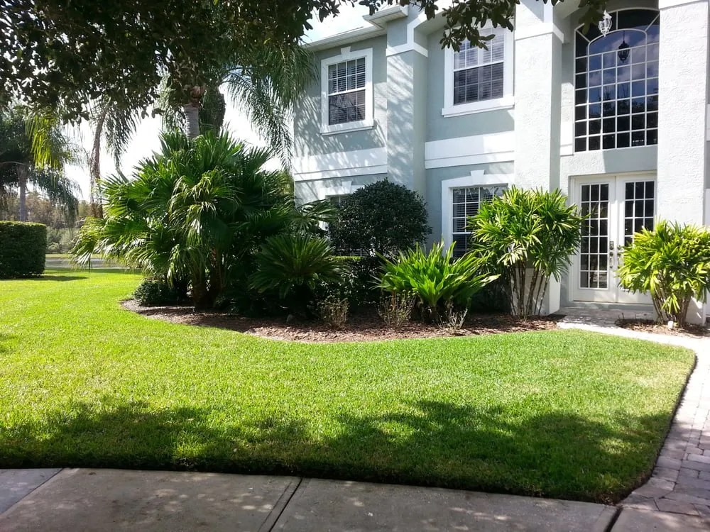Affordable yard maintenance in Wesley Chapel, FL by Alien Landscaping