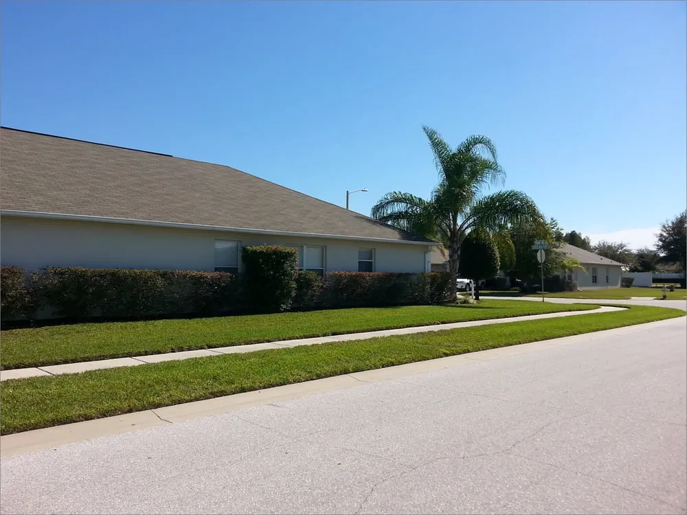 Affordable lawn mowing service experts serving Wesley Chapel, FL - Alien Landscaping