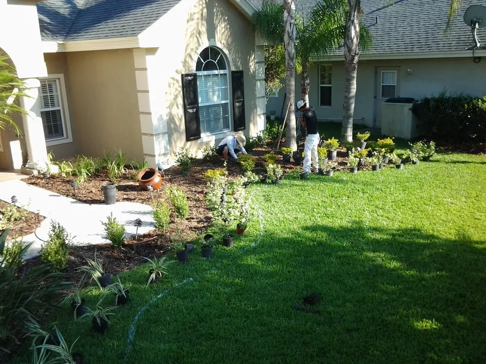 Affordable outdoor landscaping for year-round maintenance in Wesley Chapel, FL by Alien Landscaping