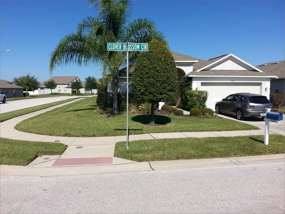 Expert yard cleanup service for outdoor upgrades across Wesley Chapel, FL - Alien Landscaping