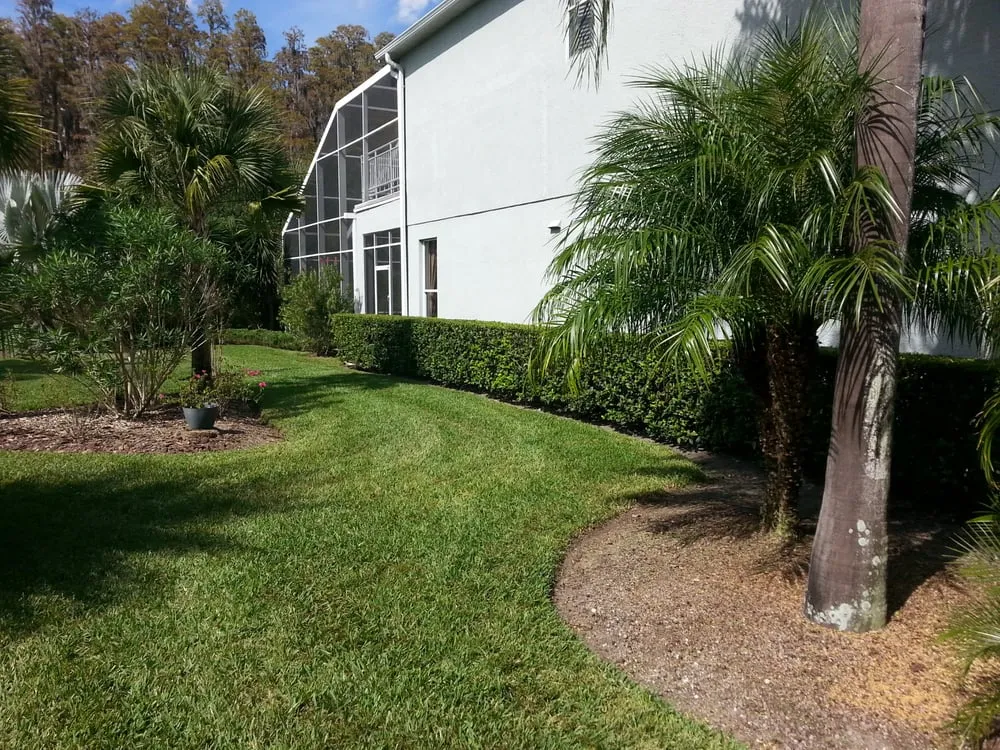 Top-rated lawn mowing service experts serving Wesley Chapel, FL - Alien Landscaping