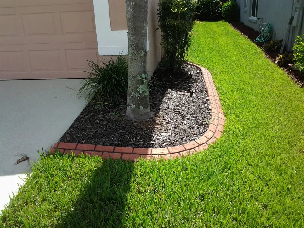 Reliable yard maintenance experts serving Wesley Chapel, FL - Alien Landscaping