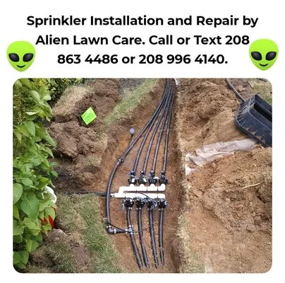 Alien Lawn Care and Landscape Logo