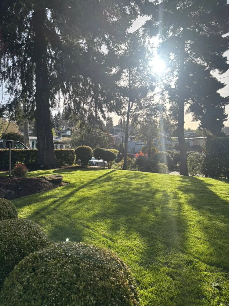 Affordable landscaping services experts serving Seattle, WA - Align Yard Care Services