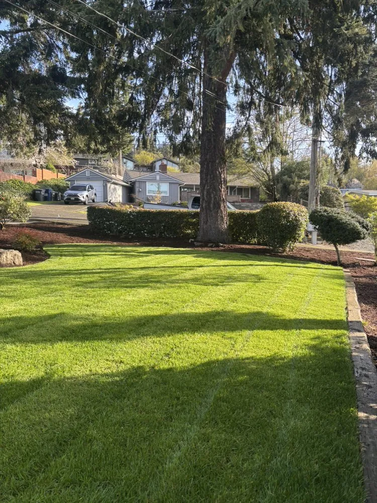 Professional residential landscaping in Seattle, WA - Align Yard Care Services