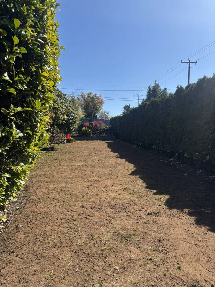 Local yard cleanup service near you in Seattle, WA by Align Yard Care Services