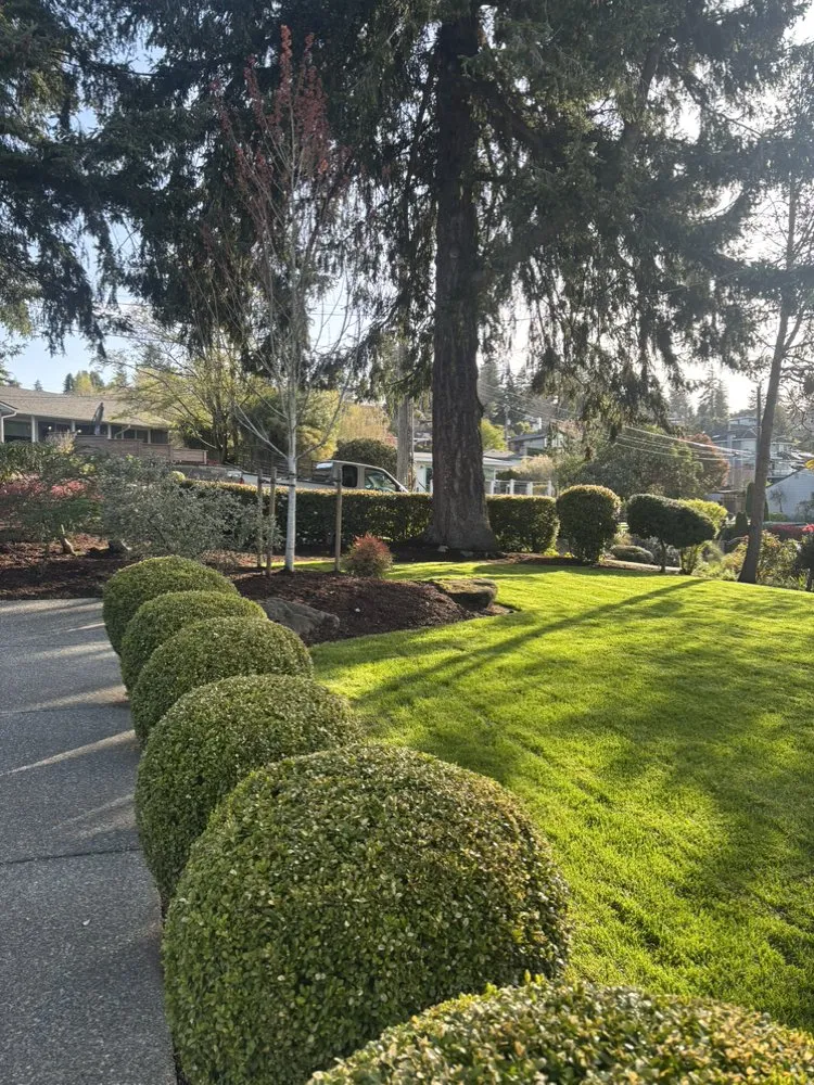 Professional landscape installation for outdoor upgrades across Seattle, WA - Align Yard Care Services