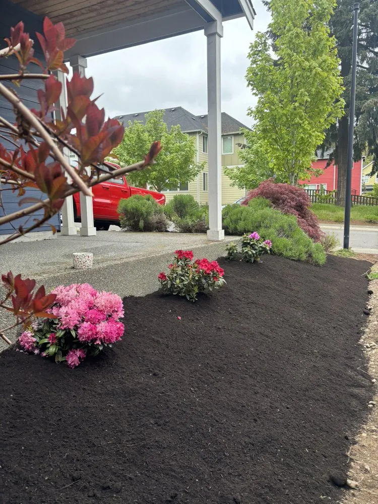 Professional landscape installation for beautiful yards across Seattle, WA - Align Yard Care Services