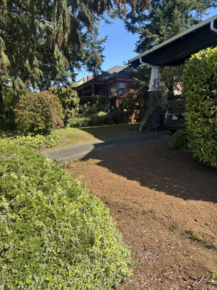 Professional landscape installation in Seattle, WA - Align Yard Care Services
