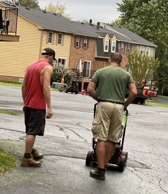 Alig’s Lawn Service Logo