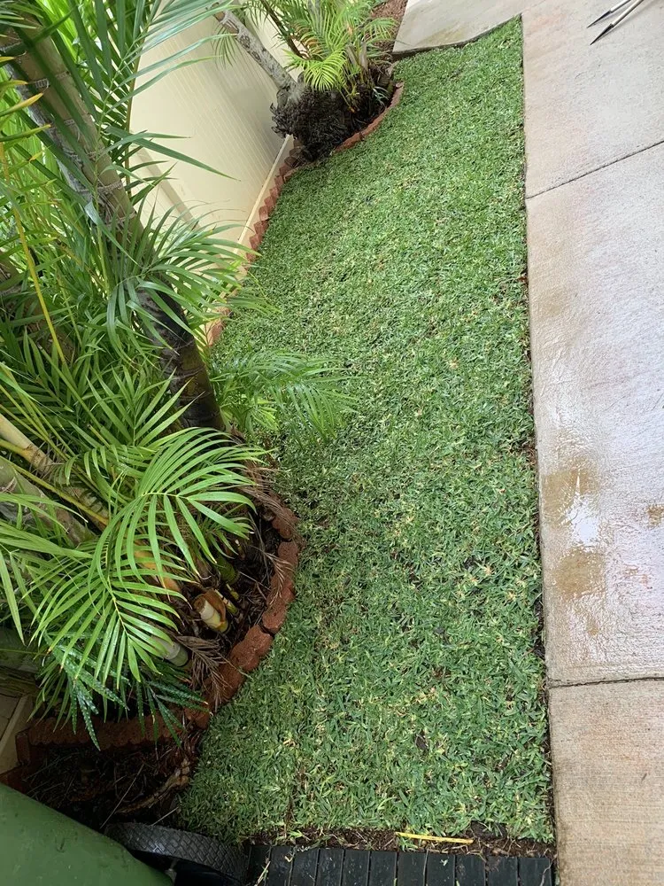 Trusted landscaping services near you across Wahiawa, HI - Alii Turf