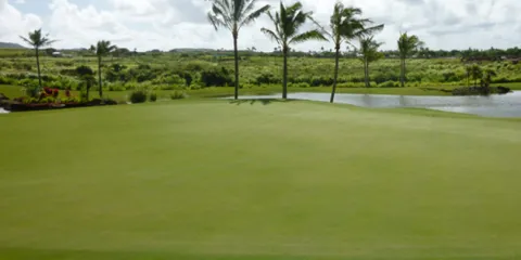 Reliable yard maintenance for beautiful yards across Wahiawa, HI - Alii Turf