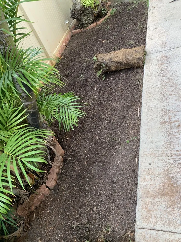 Affordable outdoor landscaping near you across Wahiawa, HI - Alii Turf