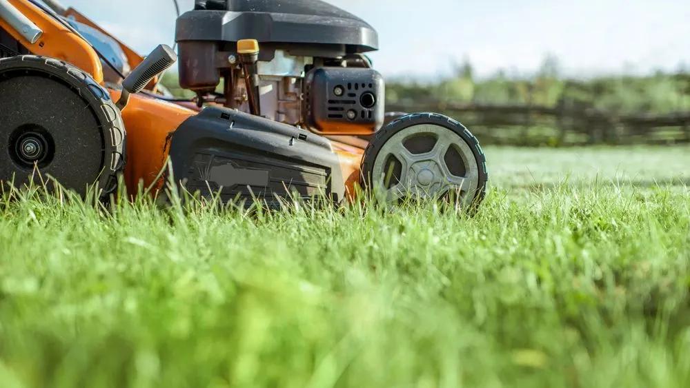 Top-rated lawn care service in Winston-Salem, NC - A'Lil of Everything
