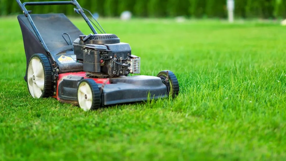 Local yard maintenance for residential properties in Winston-Salem, NC by A'Lil of Everything