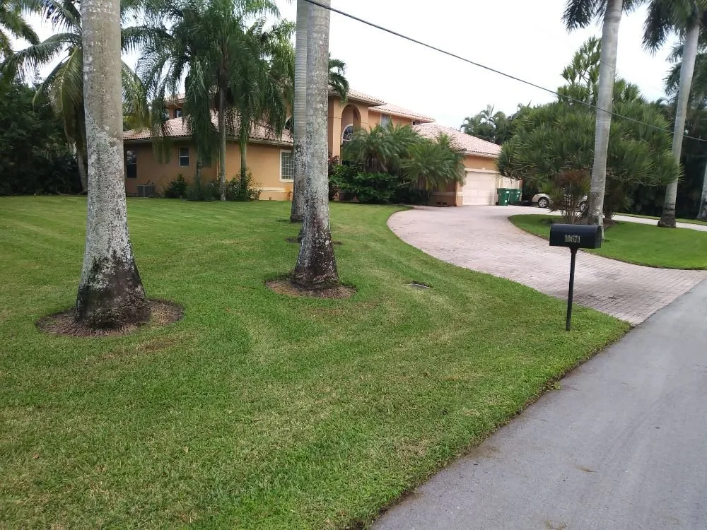 Custom garden landscaping in North Lauderdale, FL by Alimayu Lawns