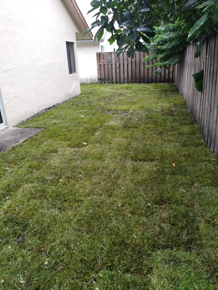 Professional residential landscaping for residential properties across North Lauderdale, FL - Alimayu Lawns