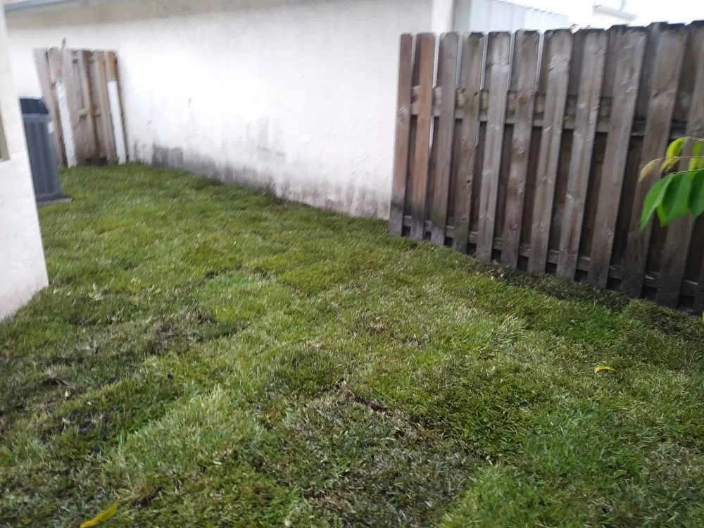 Affordable lawn care service experts serving North Lauderdale, FL - Alimayu Lawns