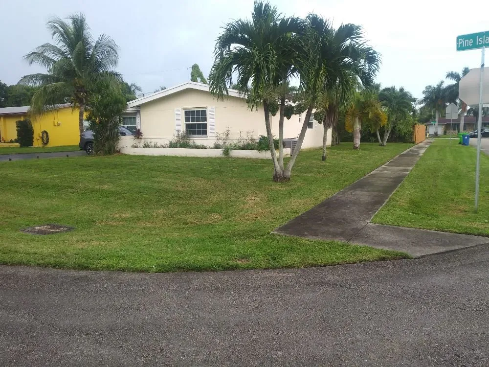 Professional outdoor landscaping in North Lauderdale, FL by Alimayu Lawns