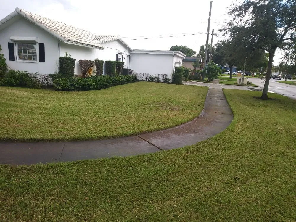 Custom yard maintenance with custom design in North Lauderdale, FL by Alimayu Lawns