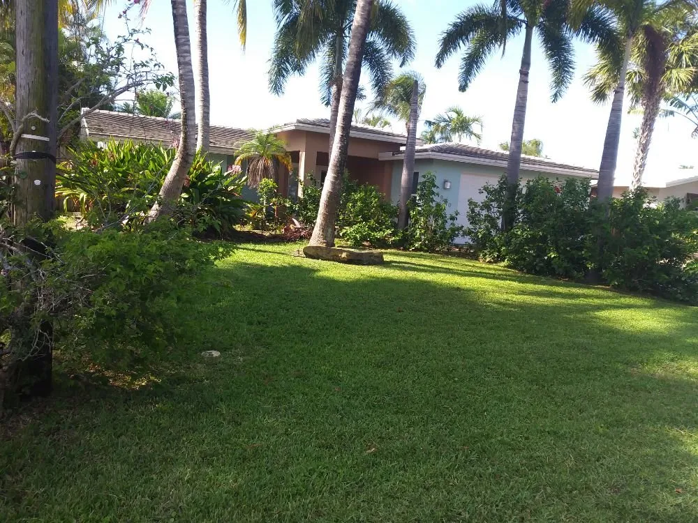 Top-rated yard maintenance for residential properties across North Lauderdale, FL - Alimayu Lawns