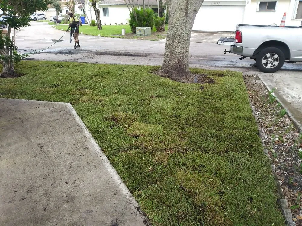 Custom residential landscaping for outdoor upgrades across North Lauderdale, FL - Alimayu Lawns