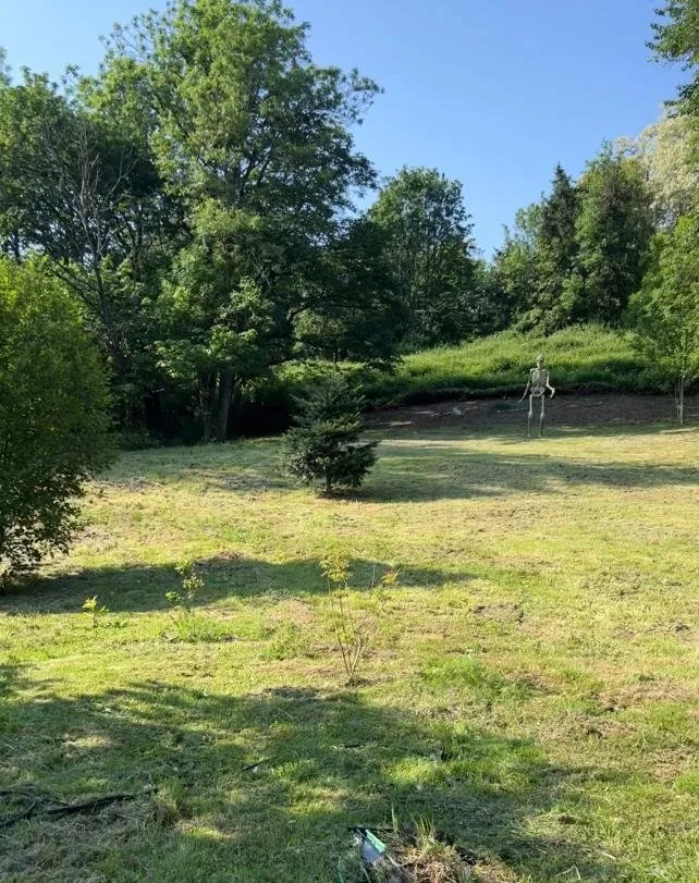 Trusted lawn care service for year-round maintenance in Auburn, WA by Alina's Construction