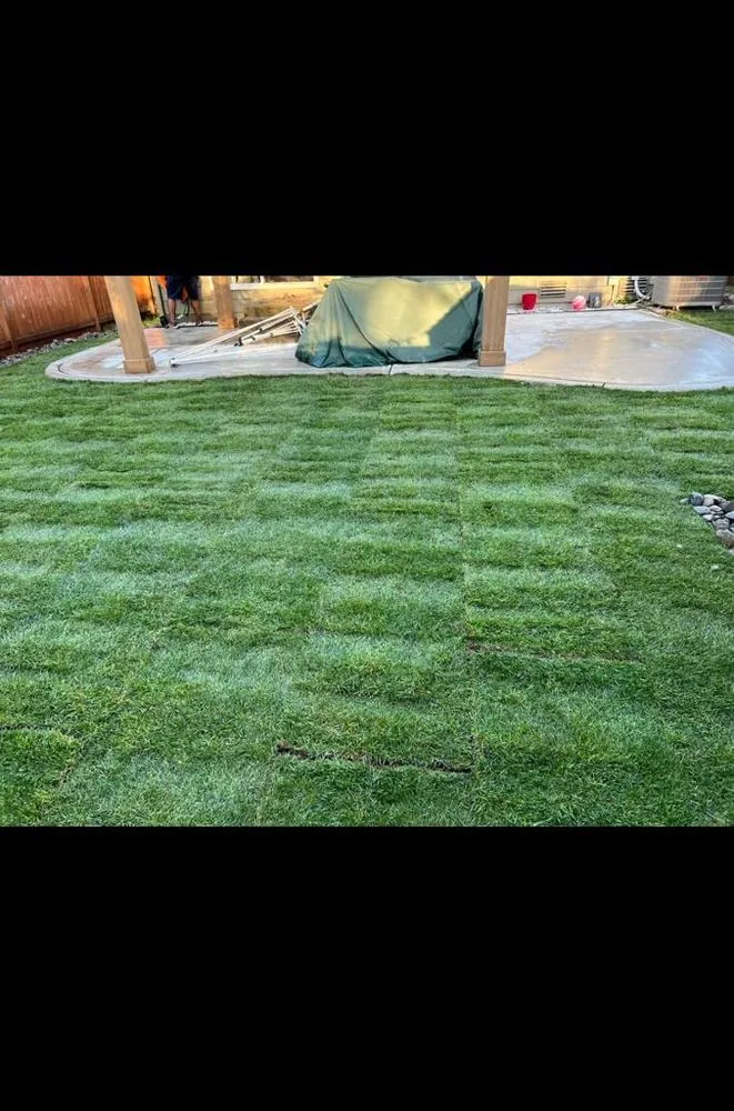 Custom landscape installation with custom design in Auburn, WA by Alina's Construction