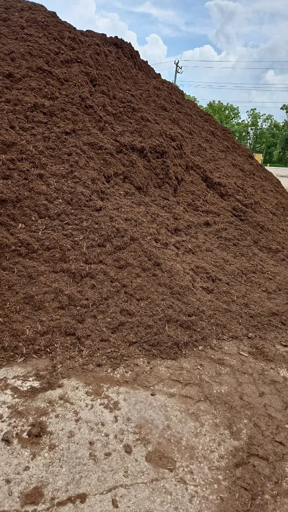 Expert lawn mowing service in South Elgin, IL - Alina's Lawn Tree & Construction