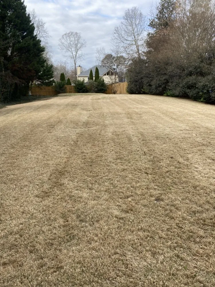 Local lawn care service in Marietta, GA by A’lisson Lawn Maintenance