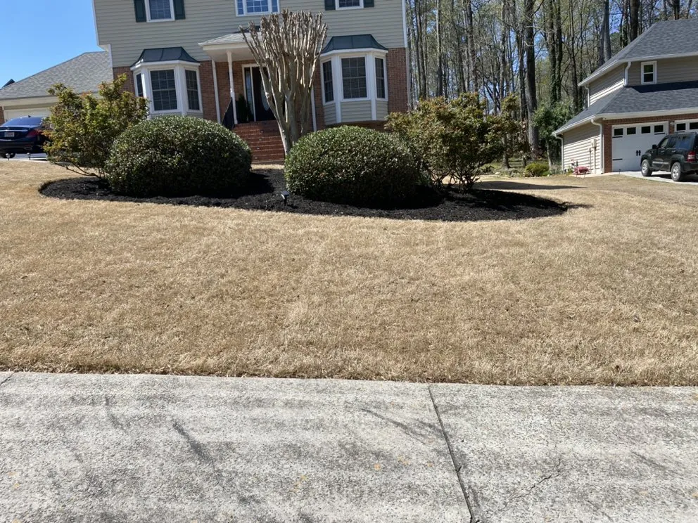 Expert yard cleanup service for residential properties across Marietta, GA - A’lisson Lawn Maintenance