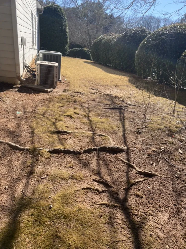 Local lawn care service for year-round maintenance in Marietta, GA by A’lisson Lawn Maintenance