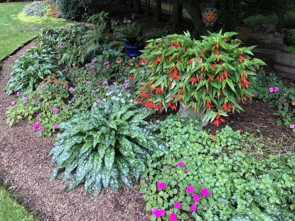 Top-rated landscape installation in Danbury, CT - Alive & Growing