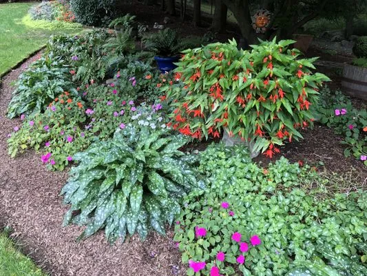 Alive & Growing Logo