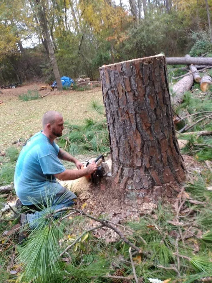 Affordable lawn mowing service in Milledgeville, GA by Alive Again Landscape and Tree Care