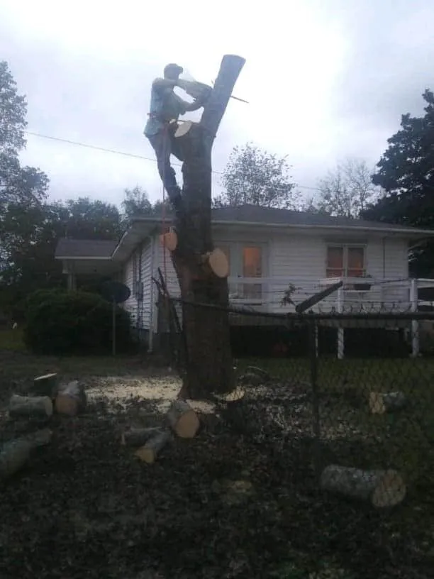 Local landscaping services in Milledgeville, GA - Alive Again Landscape and Tree Care