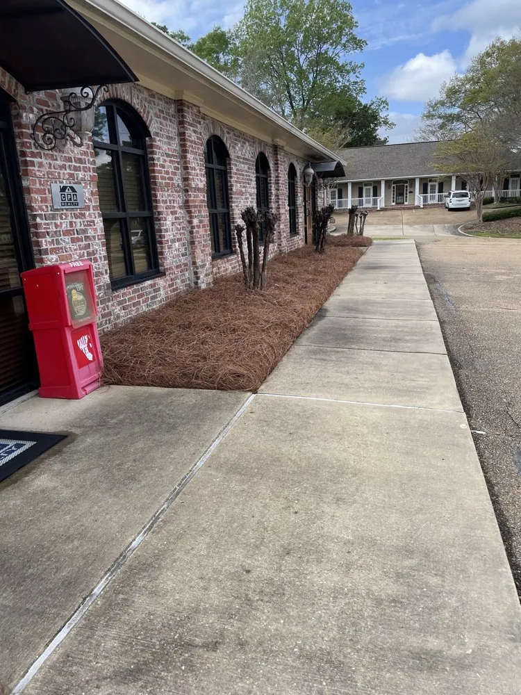 Trusted garden landscaping in Richland, MS by Alive Landscape